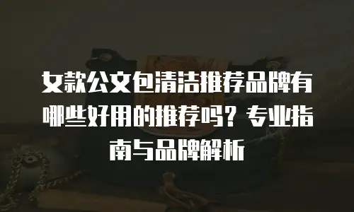 女款公文包清洁推荐品牌有哪些好用的推荐吗？专业指南与品牌解析