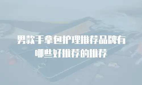 男款手拿包护理推荐品牌有哪些好推荐的推荐