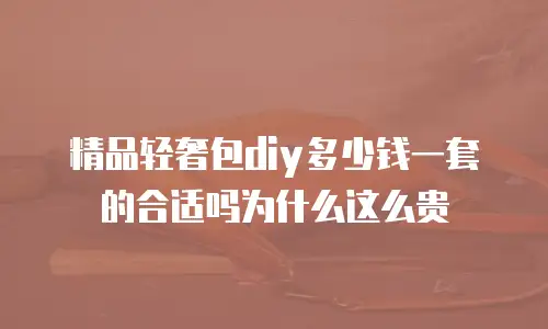 精品轻奢包diy多少钱一套的合适吗为什么这么贵