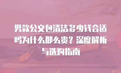 男款公文包清洁多少钱合适吗为什么那么贵？深度解析与选购指南