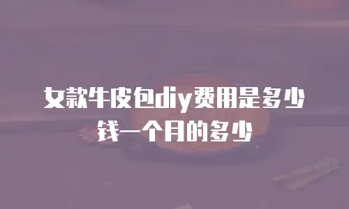 女款牛皮包diy费用是多少钱一个月的多少