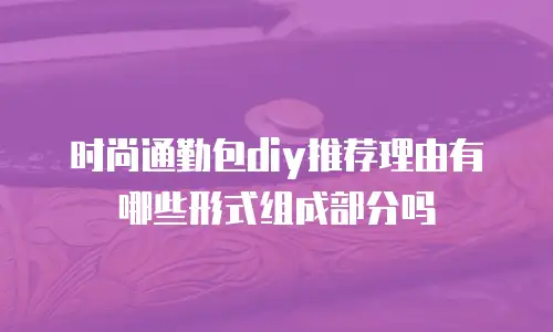 时尚通勤包diy推荐理由有哪些形式组成部分吗