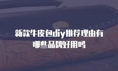 新款牛皮包diy推荐理由有哪些品牌好用吗