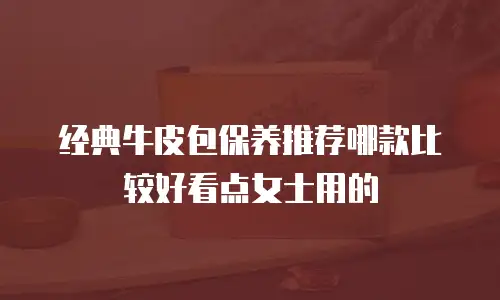 经典牛皮包保养推荐哪款比较好看点女士用的