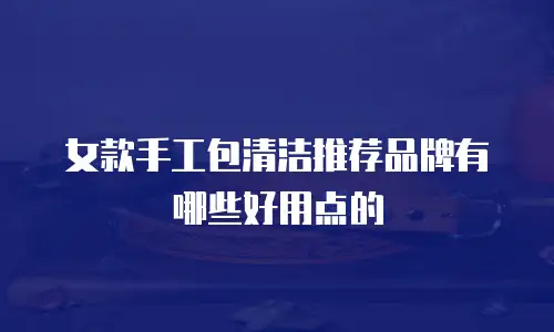 女款手工包清洁推荐品牌有哪些好用点的
