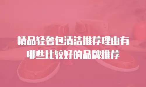精品轻奢包清洁推荐理由有哪些比较好的品牌推荐