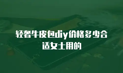 轻奢牛皮包diy价格多少合适女士用的