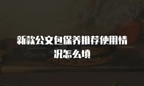 新款公文包保养推荐使用情况怎么填