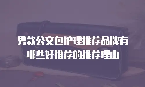男款公文包护理推荐品牌有哪些好推荐的推荐理由