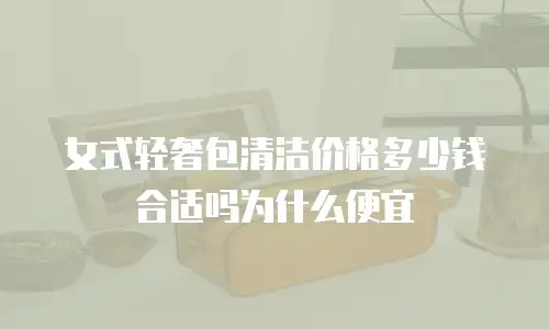 女式轻奢包清洁价格多少钱合适吗为什么便宜