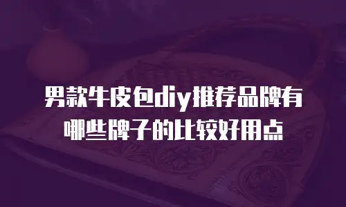 男款牛皮包diy推荐品牌有哪些牌子的比较好用点