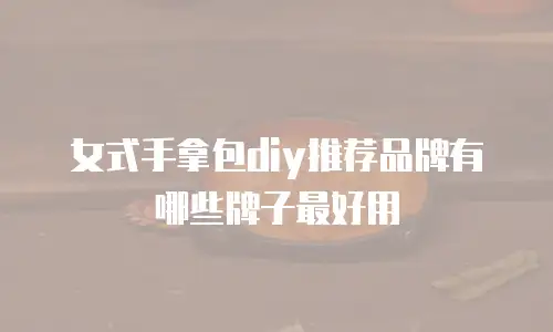 女式手拿包diy推荐品牌有哪些牌子最好用