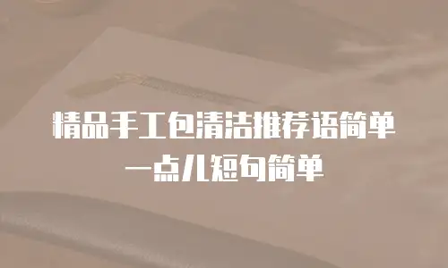 精品手工包清洁推荐语简单一点儿短句简单