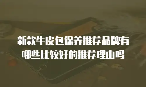 新款牛皮包保养推荐品牌有哪些比较好的推荐理由吗
