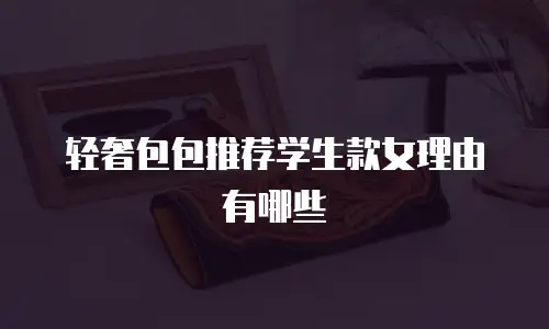 轻奢包包推荐学生款女理由有哪些