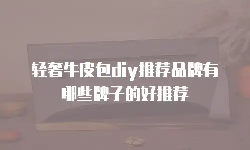 轻奢牛皮包diy推荐品牌有哪些牌子的好推荐