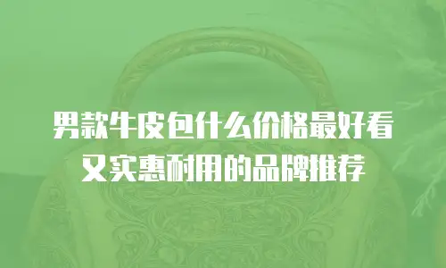 男款牛皮包什么价格最好看又实惠耐用的品牌推荐