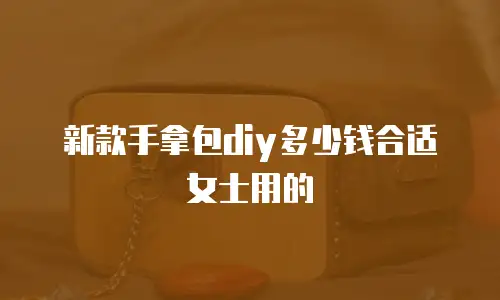 新款手拿包diy多少钱合适女士用的