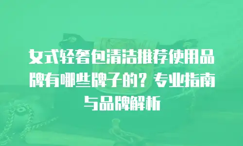 女式轻奢包清洁推荐使用品牌有哪些牌子的？专业指南与品牌解析