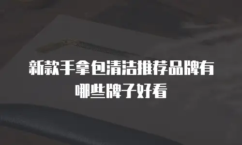 新款手拿包清洁推荐品牌有哪些牌子好看