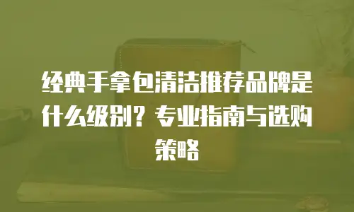 经典手拿包清洁推荐品牌是什么级别？专业指南与选购策略