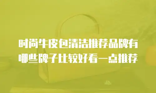 时尚牛皮包清洁推荐品牌有哪些牌子比较好看一点推荐