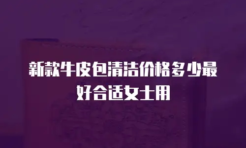 新款牛皮包清洁价格多少最好合适女士用