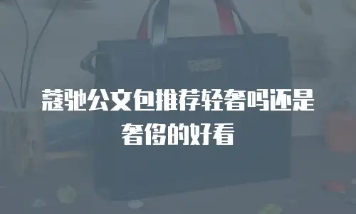 蔻驰公文包推荐轻奢吗还是奢侈的好看