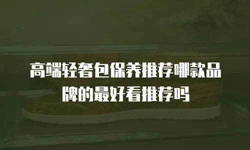 高端轻奢包保养推荐哪款品牌的最好看推荐吗