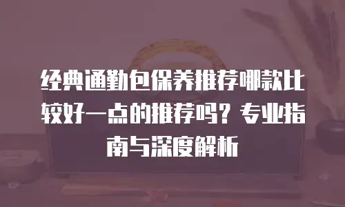经典通勤包保养推荐哪款比较好一点的推荐吗？专业指南与深度解析