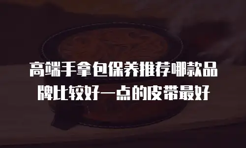 高端手拿包保养推荐哪款品牌比较好一点的皮带最好
