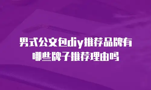 男式公文包diy推荐品牌有哪些牌子推荐理由吗