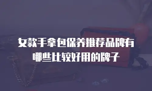 女款手拿包保养推荐品牌有哪些比较好用的牌子