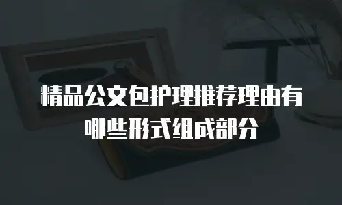 精品公文包护理推荐理由有哪些形式组成部分