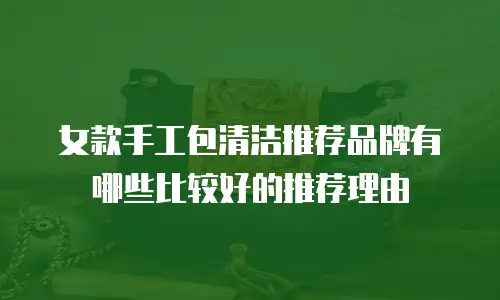 女款手工包清洁推荐品牌有哪些比较好的推荐理由