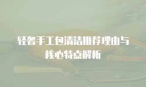 轻奢手工包清洁推荐理由与核心特点解析