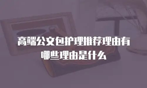 高端公文包护理推荐理由有哪些理由是什么
