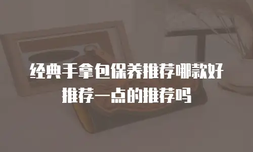 经典手拿包保养推荐哪款好推荐一点的推荐吗