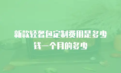 新款轻奢包定制费用是多少钱一个月的多少