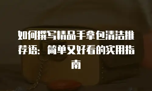 如何撰写精品手拿包清洁推荐语：简单又好看的实用指南