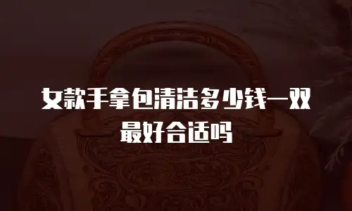 女款手拿包清洁多少钱一双最好合适吗