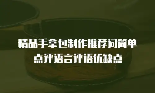 精品手拿包制作推荐词简单点评语言评语优缺点