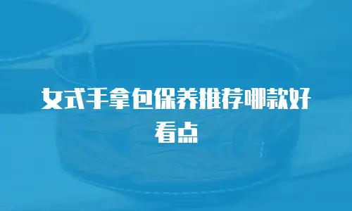 女式手拿包保养推荐哪款好看点