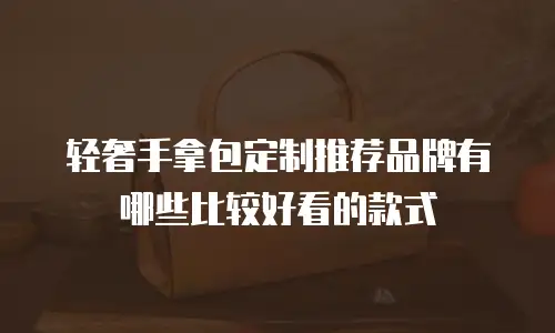 轻奢手拿包定制推荐品牌有哪些比较好看的款式