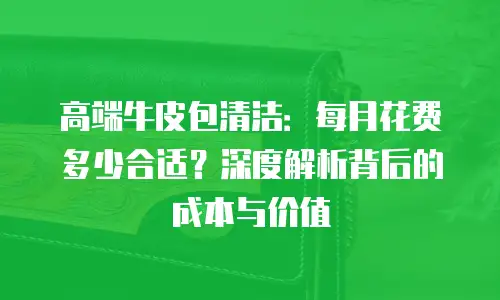 高端牛皮包清洁：每月花费多少合适？深度解析背后的成本与价值