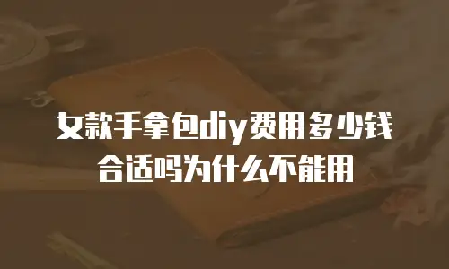 女款手拿包diy费用多少钱合适吗为什么不能用
