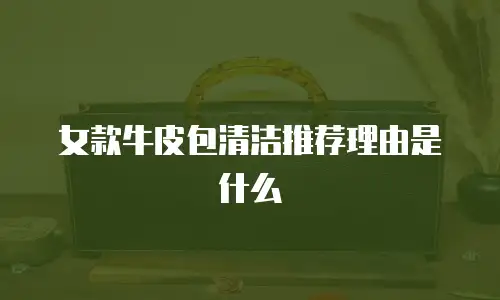 女款牛皮包清洁推荐理由是什么