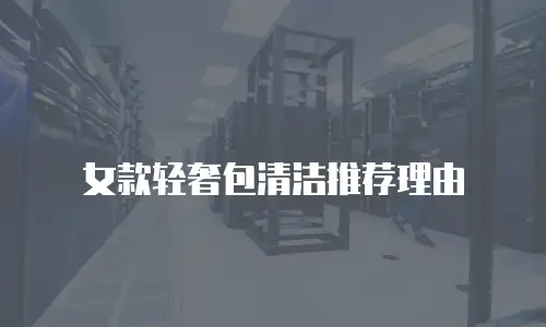 女款轻奢包清洁推荐理由