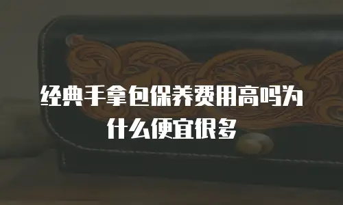 经典手拿包保养费用高吗为什么便宜很多