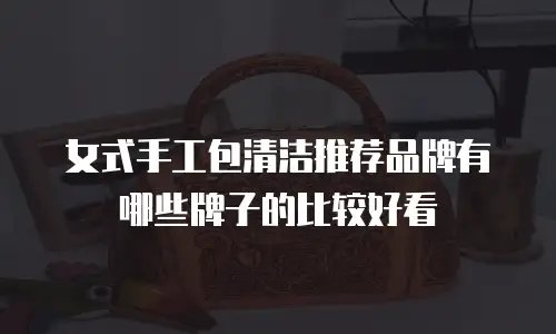 女式手工包清洁推荐品牌有哪些牌子的比较好看